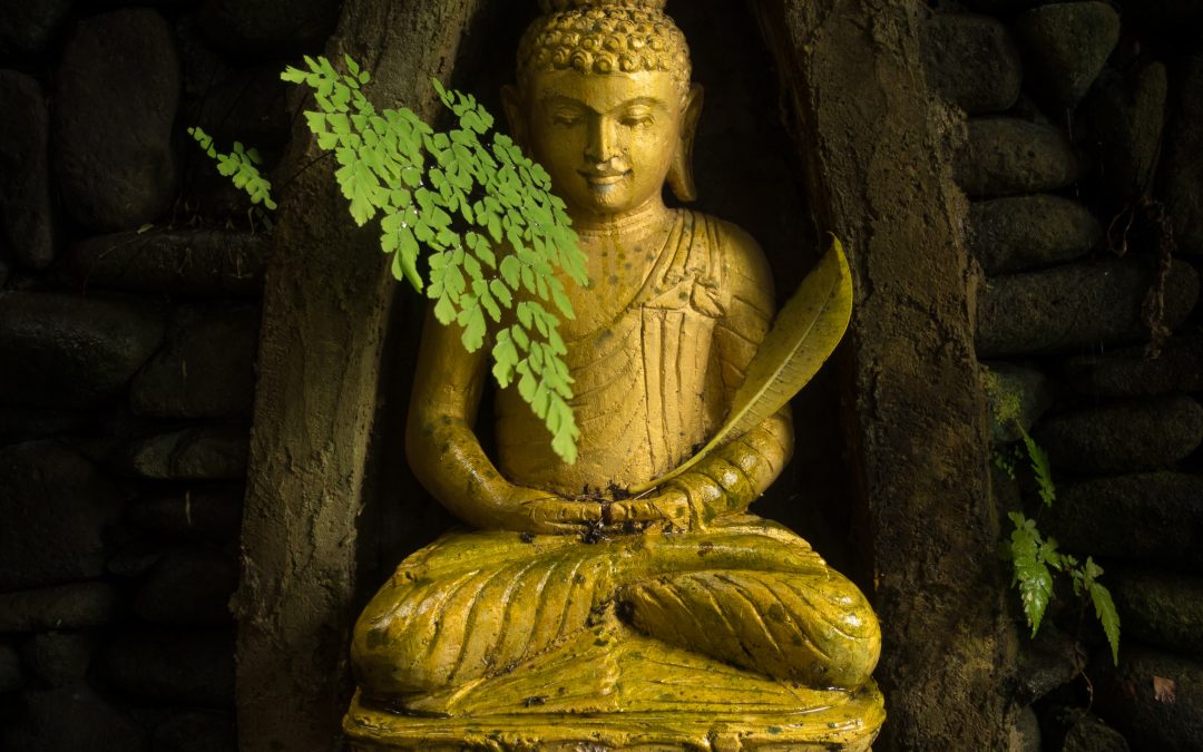 Meditare con Buddha 1° tappa